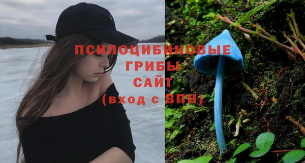 бошки Абаза