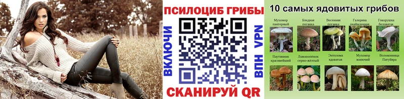 Галлюциногенные грибы прущие грибы  закладки  Краснодар 
